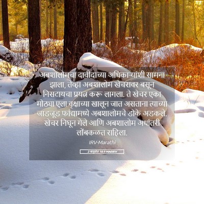 Picture 05 - 2 शमुवेल 18:9 MARIRV - अबशालोमचा - Bible Verse Picture