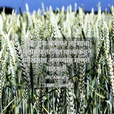 Picture 05 - 2 शमुवेल 3:15 MARIRV - तेव्हा ईश-बोशेथने - Bible Verse Picture
