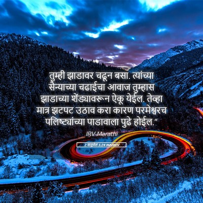 Picture 05 - 2 शमुवेल 5:24 MARIRV - तुम्ही झाडावर - Bible Verse Picture
