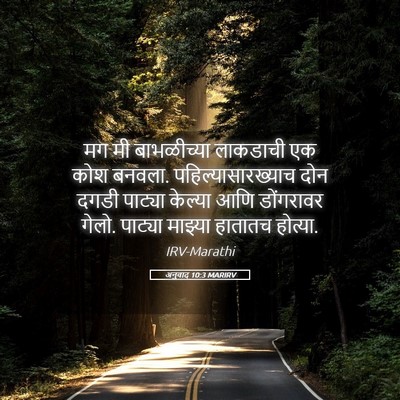Picture 05 - अनुवाद 10:3 MARIRV - मग मी बाभळीच्या - Bible Verse Picture