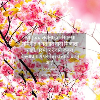 Picture 05 - अनुवाद 10:9 MARIRV - त्यामुळेच लेवींना - Bible Verse Picture