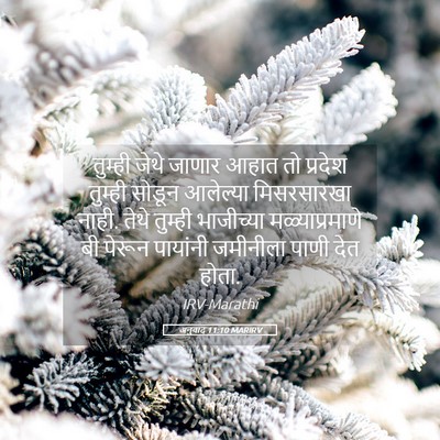 Picture 05 - अनुवाद 11:10 MARIRV - तुम्ही जेथे जाणार - Bible Verse Picture
