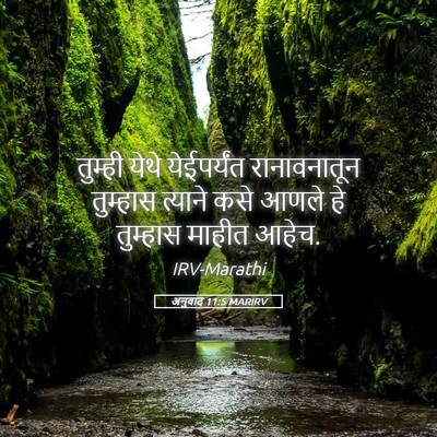 Picture 05 - अनुवाद 11:5 MARIRV - तुम्ही येथे - Bible Verse Picture