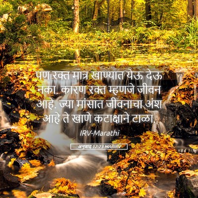 Picture 05 - अनुवाद 12:23 MARIRV - पण रक्त मात्र - Bible Verse Picture