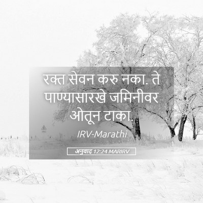 Picture 05 - अनुवाद 12:24 MARIRV - रक्त सेवन करु नका. - Bible Verse Picture