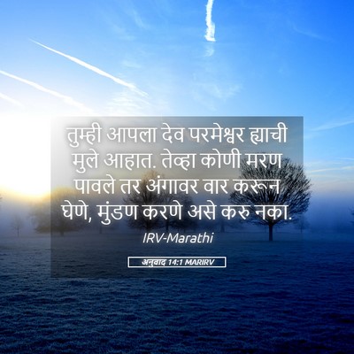 Picture 05 - अनुवाद 14:1 MARIRV - तुम्ही आपला देव - Bible Verse Picture