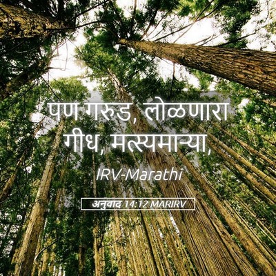 Picture 05 - अनुवाद 14:12 MARIRV - पण गरुड, लोळणारा - Bible Verse Picture