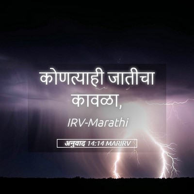 Picture 05 - अनुवाद 14:14 MARIRV - कोणत्याही जातीचा - Bible Verse Picture