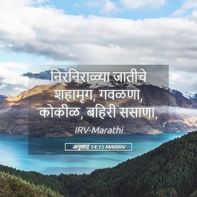 Picture 05 - अनुवाद 14:15 MARIRV - निरनिराळ्या - Bible Verse Picture