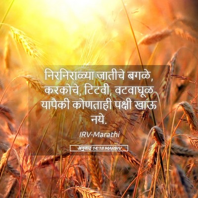 Picture 05 - अनुवाद 14:18 MARIRV - निरनिराळ्या - Bible Verse Picture