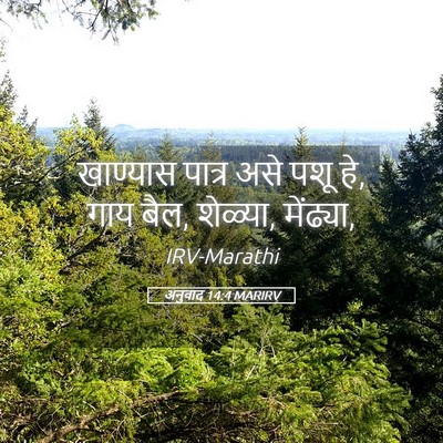 Picture 05 - अनुवाद 14:4 MARIRV - खाण्यास पात्र असे - Bible Verse Picture