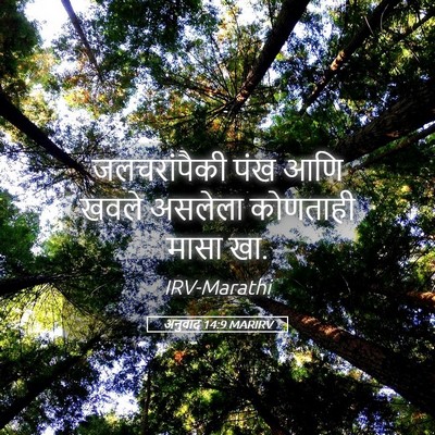 Picture 05 - अनुवाद 14:9 MARIRV - जलचरांपैकी पंख - Bible Verse Picture