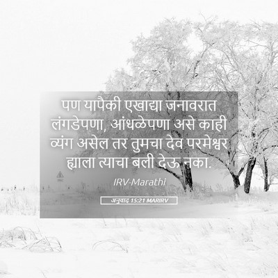 Picture 05 - अनुवाद 15:21 MARIRV - पण यापैकी एखाद्या - Bible Verse Picture