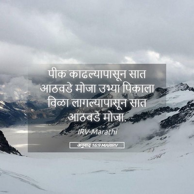 Picture 05 - अनुवाद 16:9 MARIRV - पीक काढल्यापासून - Bible Verse Picture