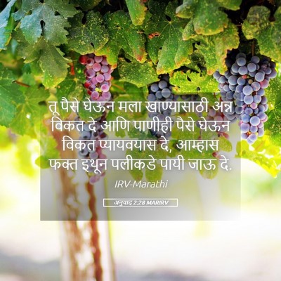 Picture 05 - अनुवाद 2:28 MARIRV - तू पैसे घेऊन मला - Bible Verse Picture