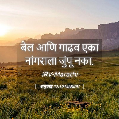 Picture 05 - अनुवाद 22:10 MARIRV - बैल आणि गाढव एका - Bible Verse Picture