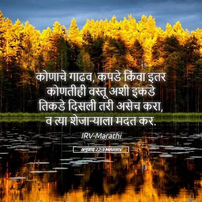 Picture 05 - अनुवाद 22:3 MARIRV - कोणाचे गाढव, कपडे - Bible Verse Picture