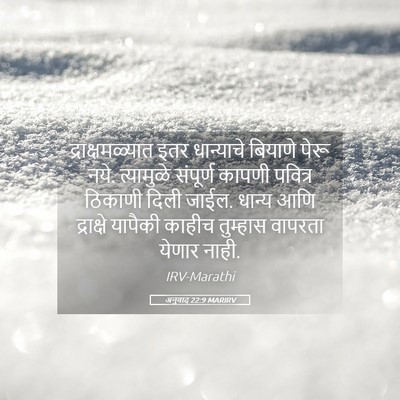 Picture 05 - अनुवाद 22:9 MARIRV - द्राक्षमळ्यात इतर - Bible Verse Picture