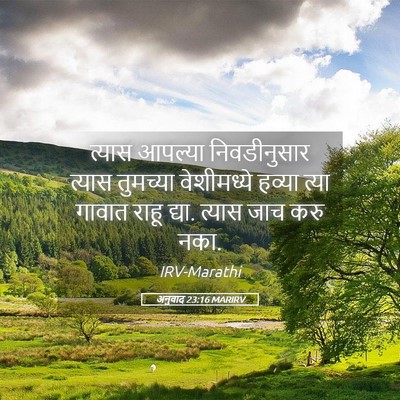 Picture 05 - अनुवाद 23:16 MARIRV - त्यास आपल्या - Bible Verse Picture