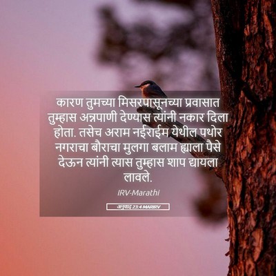 Picture 05 - अनुवाद 23:4 MARIRV - कारण तुमच्या - Bible Verse Picture