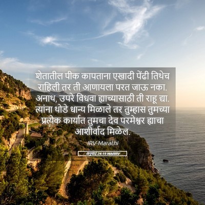 Picture 05 - अनुवाद 24:19 MARIRV - शेतातील पीक - Bible Verse Picture