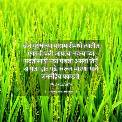 Picture 05 - अनुवाद 25:11 MARIRV - दोन पुरुषांच्या - Bible Verse Picture