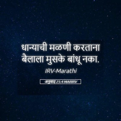 Picture 05 - अनुवाद 25:4 MARIRV - धान्याची मळणी - Bible Verse Picture