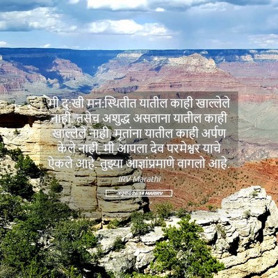 Picture 05 - अनुवाद 26:14 MARIRV - मी दु:खी मन:स्थितीत - Bible Verse Picture