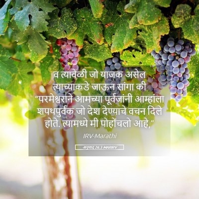 Picture 05 - अनुवाद 26:3 MARIRV - व त्यावेळी जो याजक - Bible Verse Picture
