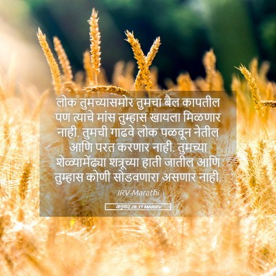 Picture 05 - अनुवाद 28:31 MARIRV - लोक तुमच्यासमोर - Bible Verse Picture