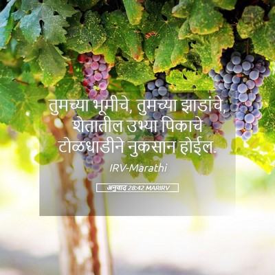 Picture 05 - अनुवाद 28:42 MARIRV - तुमच्या भूमीचे, - Bible Verse Picture