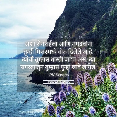 Picture 05 - अनुवाद 28:60 MARIRV - अशा रोगराईला आणि - Bible Verse Picture