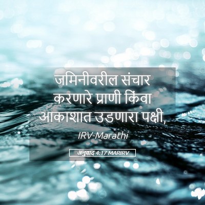 Picture 05 - अनुवाद 4:17 MARIRV - जमिनीवरील संचार - Bible Verse Picture