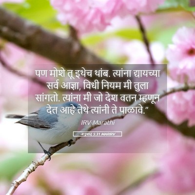 Picture 05 - अनुवाद 5:31 MARIRV - पण मोशे तू इथेच - Bible Verse Picture