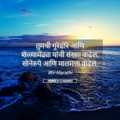 Picture 05 - अनुवाद 8:13 MARIRV - तुमची गुरेढोरे - Bible Verse Picture
