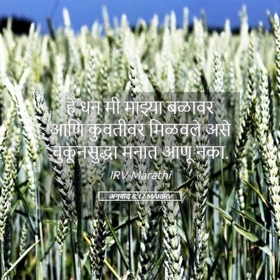 Picture 05 - अनुवाद 8:17 MARIRV - हे धन मी माझ्या - Bible Verse Picture