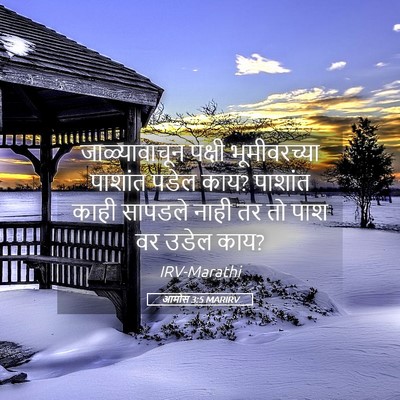 Picture 05 - आमोस 3:5 MARIRV - जाळ्यावाचून पक्षी - Bible Verse Picture