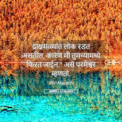 Picture 05 - आमोस 5:17 MARIRV - द्राक्षमळ्यांत - Bible Verse Picture
