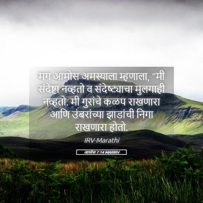 Picture 05 - आमोस 7:14 MARIRV - मग आमोस अमस्याला - Bible Verse Picture