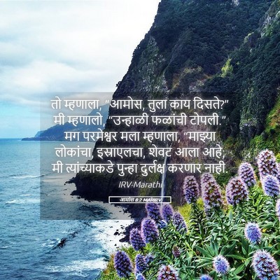 Picture 05 - आमोस 8:2 MARIRV - तो म्हणाला, “आमोस, - Bible Verse Picture