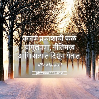 Picture 05 - इफिसकरांस 5:9 MARIRV - कारण प्रकाशाची - Bible Verse Picture