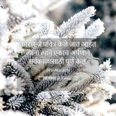 Picture 05 - इब्री लोकांस 10:14 MARIRV - कारण जे पवित्र - Bible Verse Picture