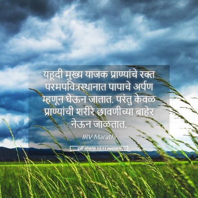 Picture 05 - इब्री लोकांस 13:11 MARIRV - यहूदी मुख्य याजक - Bible Verse Picture
