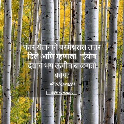 Picture 05 - ईयोब 1:9 MARIRV - नंतर सैतानाने - Bible Verse Picture