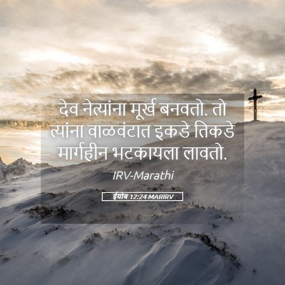 Picture 05 - ईयोब 12:24 MARIRV - देव नेत्यांना - Bible Verse Picture