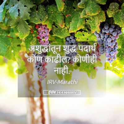Picture 05 - ईयोब 14:4 MARIRV - अशुद्धांतून शुद्ध - Bible Verse Picture