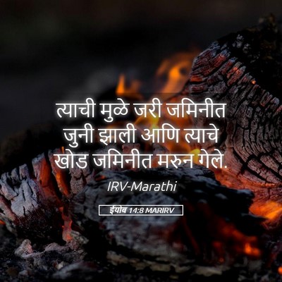 Picture 05 - ईयोब 14:8 MARIRV - त्याची मुळे जरी - Bible Verse Picture