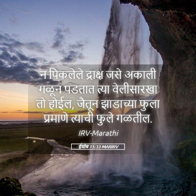 Picture 05 - ईयोब 15:33 MARIRV - न पिकलेले द्राक्ष - Bible Verse Picture