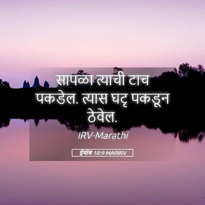 Picture 05 - ईयोब 18:9 MARIRV - सापळा त्याची टाच - Bible Verse Picture