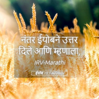 Picture 05 - ईयोब 19:1 MARIRV - नंतर ईयोबने उत्तर - Bible Verse Picture